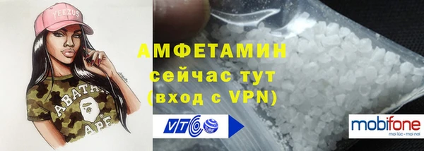 стаф Абаза