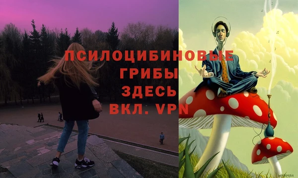 ГАЛЛЮЦИНОГЕННЫЕ ГРИБЫ Абинск