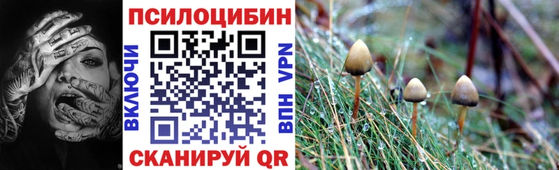 Псилоцибиновые грибы Psilocybe  Грязи 